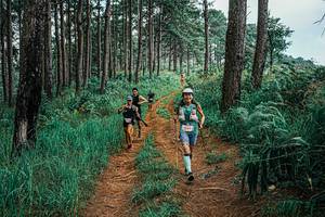 BIB: 
                            <button type="button" onclick="openModal(25708851)" class="btn btn-primary btn-sm float-right btn-popup" data-toggle="modal" data-target=".modal-high-quality">
                        <i class="fas fa-shopping-cart"></i> Add to Cart
                    </button>
                                            <button type="button" onclick="isThisMe(25708851, true)" class="btn btn-success btn-sm float-right btn-popup btn-isme hidden" data-toggle="tooltip" data-placement="bottom" title="นี่คือรูปของคุณใช่ไหม คลิกที่นี่เพื่อเอาเข้าอัลบั้ม">
                        <i class="fas fa-plus"></i> Add to album
                    </button>
                    <button type="button" onclick="isThisMe(25708851, false)" class="btn btn-warning btn-sm float-right btn-popup btn-isnotme hidden">
                        <i class="fas fa-ban"></i> Remove from album
                    </button>